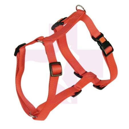 ARNES MIAMI, 50/75CMX20MM, 40KG, ROJO