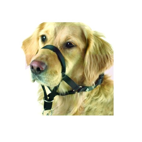 BOZAL ANTITIRONES MAXI COACH, T7, 34CM MORRO
