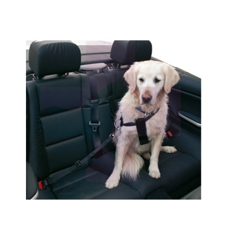 ARNES Y CORREA DE SEGURIDAD COCHE, 80-110CM PECHO