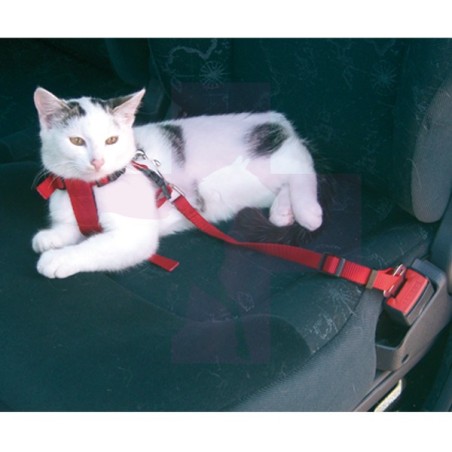 ARNES Y CORREA DE SEGURIDAD COCHE GATO, 20-40CM PECHO