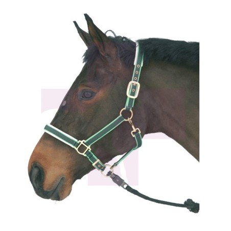 CABEZADA PARA CABALLOS REFORZADA EN NYLON, MEDIANA, AZUL