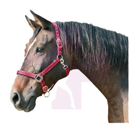 CABEZADA PARA CABALLOS NYLON DOBLE GRANAJE, GRANDE, AZUL