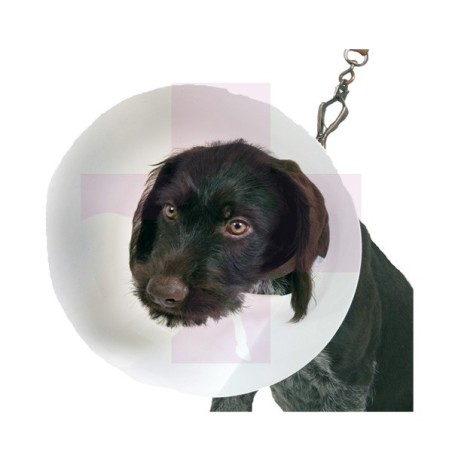 COLLAR ISABELINO BUSTER, 1UNDS, 7.5CM