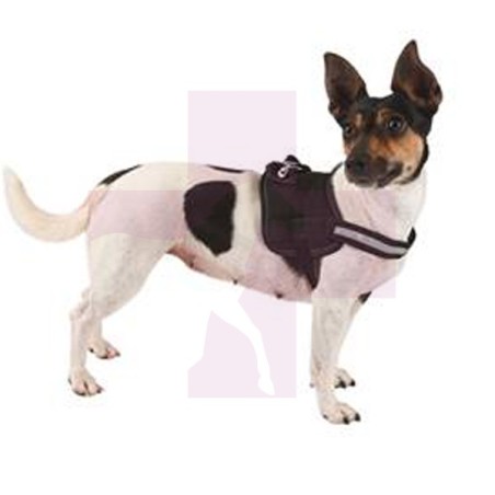 ARNES TITAN Ø65-77cmx25mm