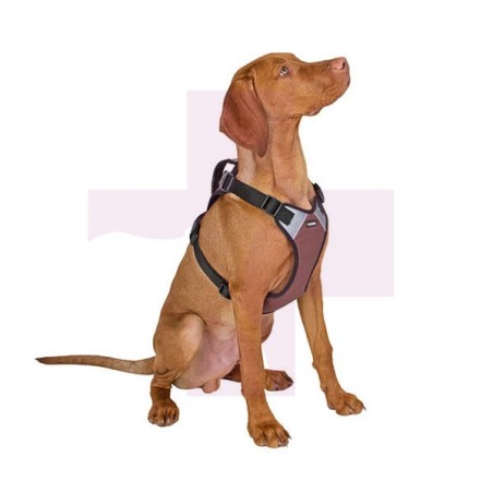 ARNES SPORT "PULSIVE" PERROS, CUELLO 62-85CM/TORSO 72-96CM