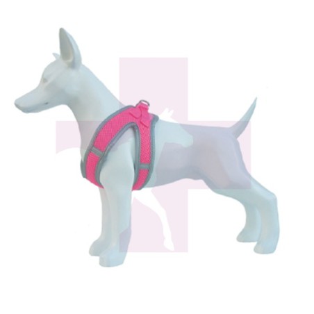 ARNES SOFT ROSA XS 20-35CM