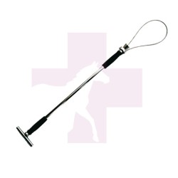 LAZO SUJECCION MORRO DE CERDOS