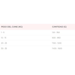 DISUGUAL WET FRUIT DOG CERDO CON MANZANA, 150GR