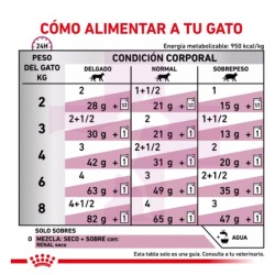 ROYAL CANIN GATO RENAL (PESCADO)