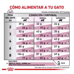 ROYAL CANIN GATO RENAL SPECIAL
