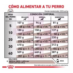 ROYAL CANIN PERRO HEPATIC