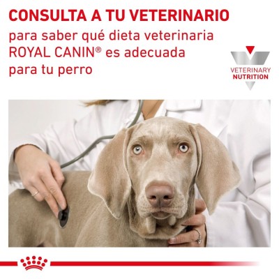 VHN DOG WET GASTRO INT 1X400GR
