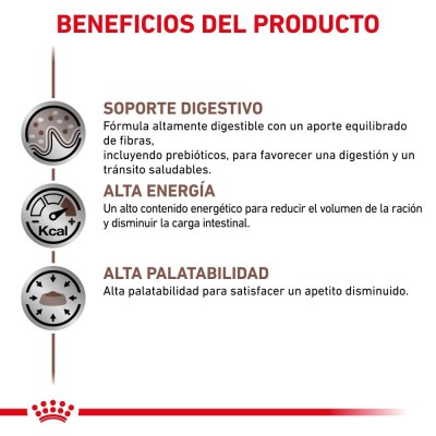 VHN DOG WET GASTRO INT 1X400GR