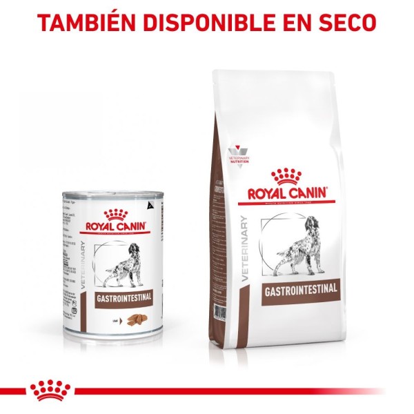 VHN DOG WET GASTRO INT 1X400GR