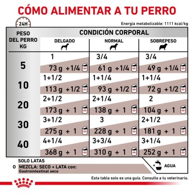 VHN DOG WET GASTRO INT 1X200GR