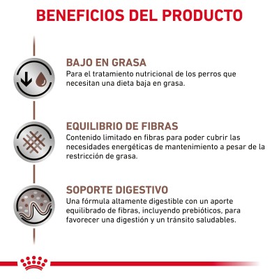 VD DOG WET GASTRO INT LOW FAT 1X200GR