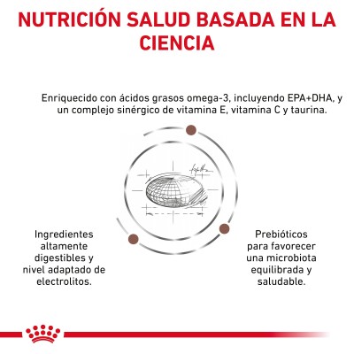 VHN DOG GASTRO INT HIGH FIBRE 2KG
