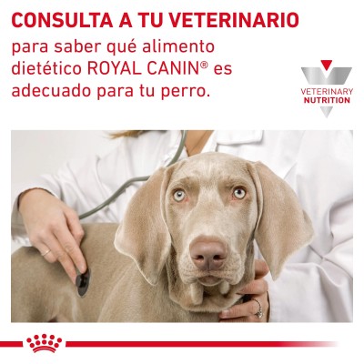 VHN DOG GASTRO INT HIGH FIBRE 2KG