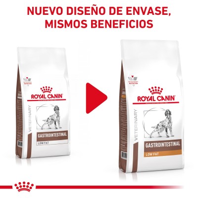 VHN DOG GASTRO INT LOW FAT 6KG
