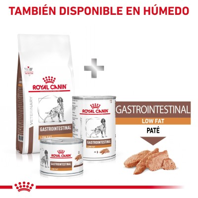 VHN DOG GASTRO INT LOW FAT 12KG