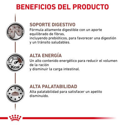 VHN CAT WET GASTRO INTEST 1X85gr SOBRE
