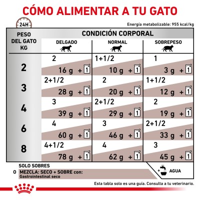 VHN CAT WET GASTRO INTEST 1X85gr SOBRE