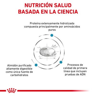 VHN CAT ANALLERGENIC 2KG