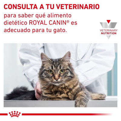 VHN CAT ANALLERGENIC 4KG