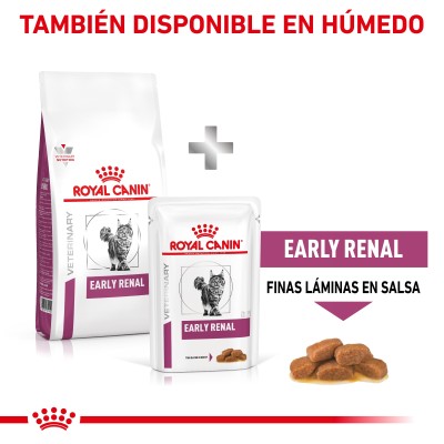 VHN CAT EARLY RENAL 6KG