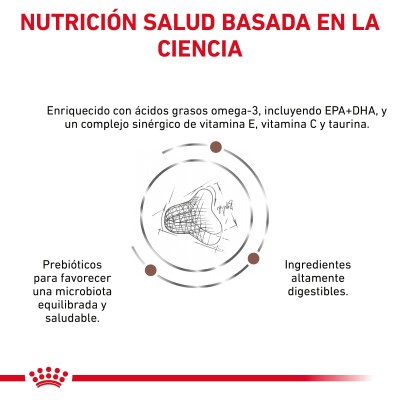 VHN CAT GASTRO INT FIBRE RESPONSE 4KG