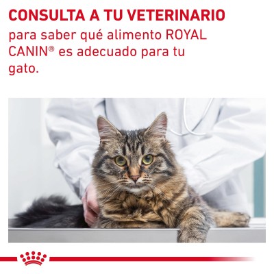 VHN CAT GASTRO INT FIBRE RESPONSE 4KG