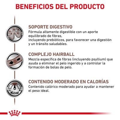 VHN CAT GASTRO INT HAIRBALL 4KG