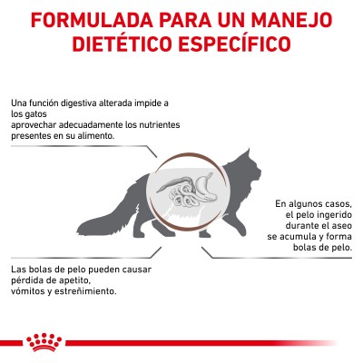 VHN CAT GASTRO INT HAIRBALL 4KG