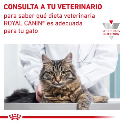 VHN CAT GASTRO INT KITTEN 2KG