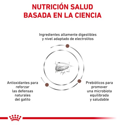 VHN CAT GASTRO INT KITTEN 400GR