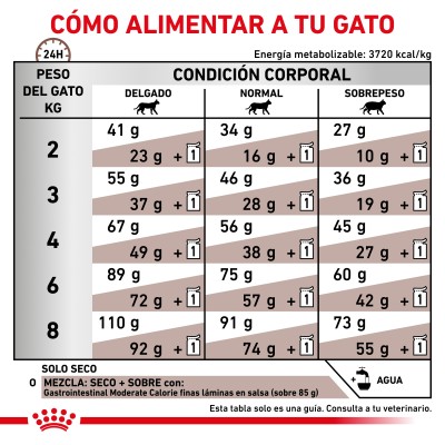VHN CAT GASTRO INT MOD CAL 2KG