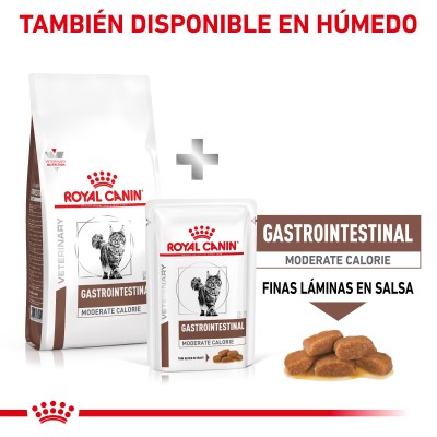 VHN CAT GASTRO INT MOD CAL 4KG