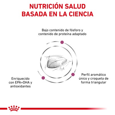 VHN CAT RENAL SPECIAL 2KG