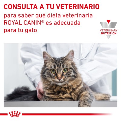 VHN CAT WET EARLY RENAL 1X85GR SOBRE