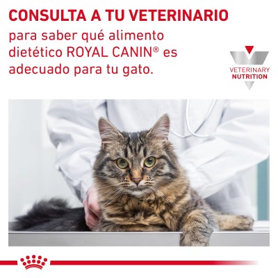 VHN CAT WET GASTRO FIBRE RESPONSE 1X85gr SOBRE