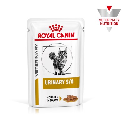VHN CAT WET URINARY (SALSA) 1X85gr SOBRE