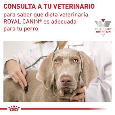 VHN DOG RENAL SMALL DOG 3.5KG