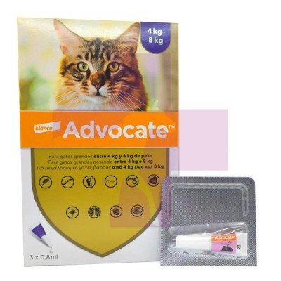 ADVOCATE GATOS 4-8KG, 1 PIPETA