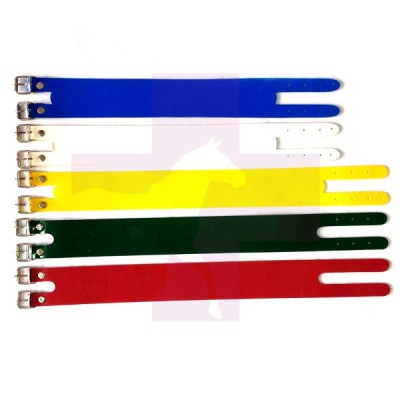 COLLAR DE LONA CON DOBLE HEBILLA PARA CABRAS, 40CM, AZUL-VERDE