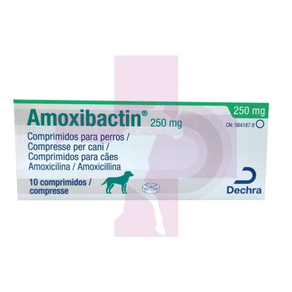 AMOXIBACTIN 250MG 10COMP