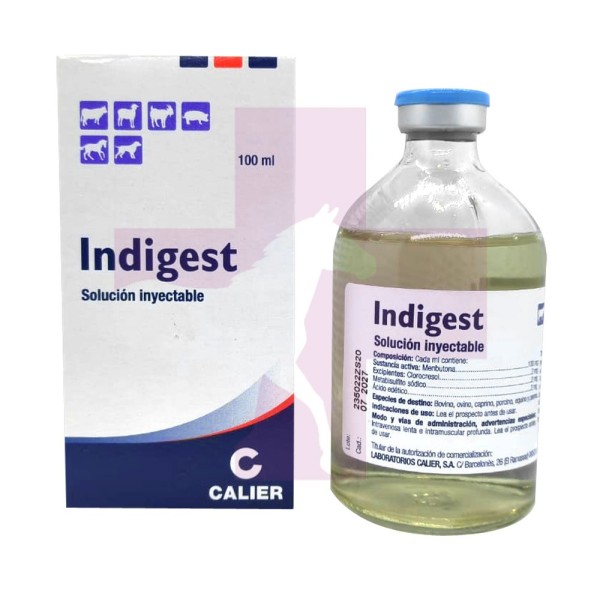 INDIGEST INYECTABLE, 100ML