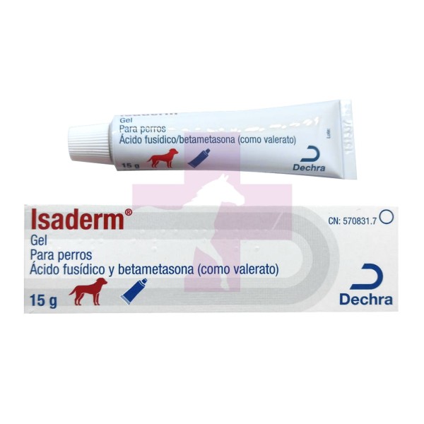 ISADERM GEL 15GR