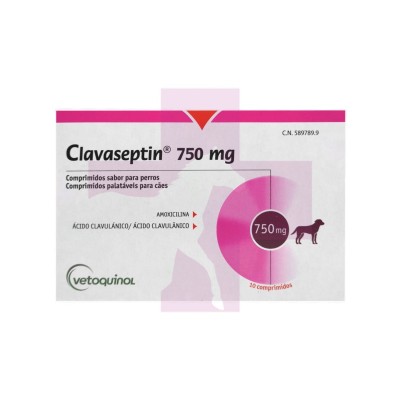 CLAVASEPTIN 750 MG 10 COMP SABOR