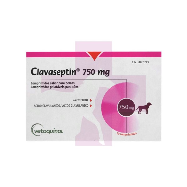 CLAVASEPTIN 750 MG 10 COMP SABOR