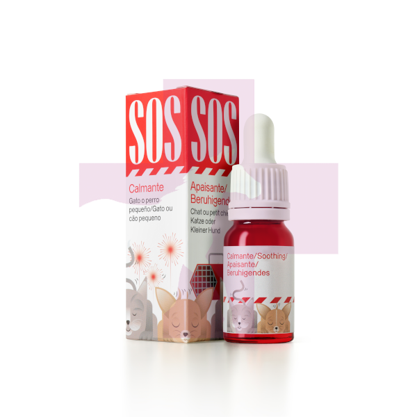 CBD CATS DROPS OIL 300MG , 10ML